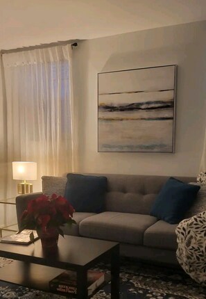 TV - Private apartment, NOT SHARED, Super fast free Wi-Fi (The Bronx)