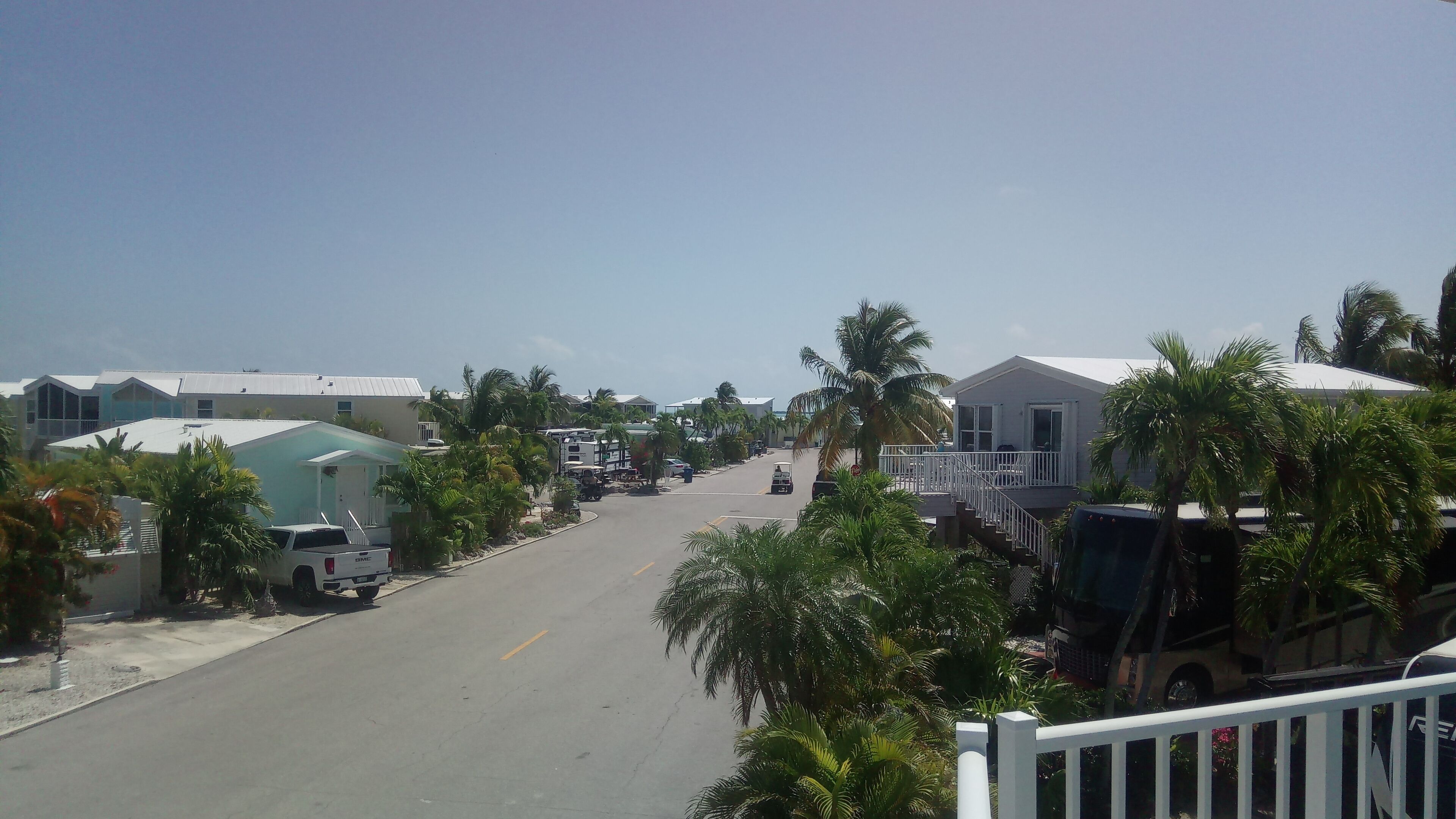 Une rue résidentielle bordée de maisons et de palmiers.