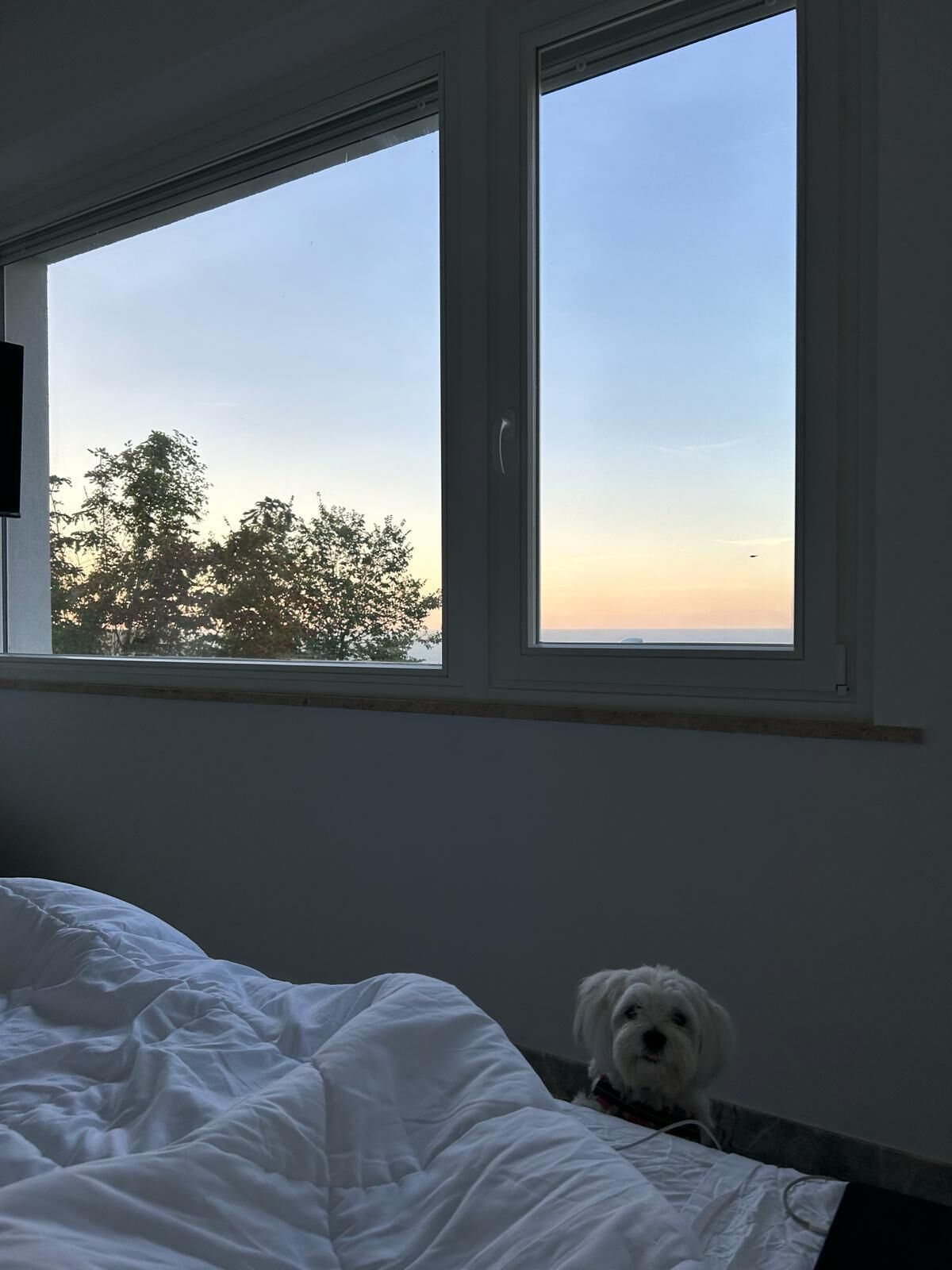 Vista desde la propiedad