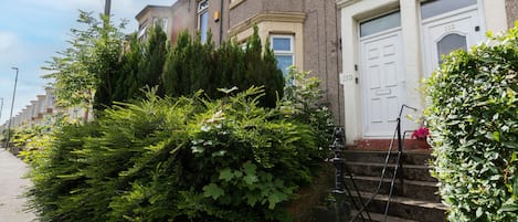 Exteriör