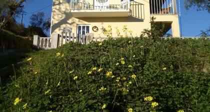 Quaint cottage in peaceful village with a restaurant in wine-making country !