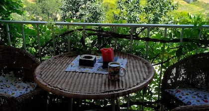 Quaint cottage in peaceful village with a restaurant in wine-making country !