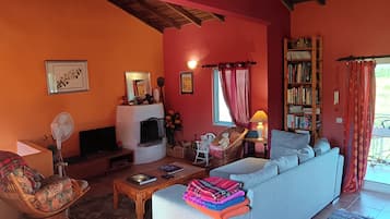 Una Smart TV, una chimenea, un reproductor de DVD, libros