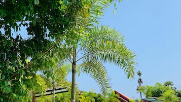 Quang cảnh từ phòng