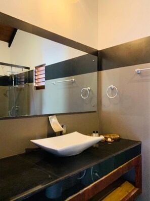 Buồng tắm vòi sen, vòi sen phun mưa, máy sấy tóc, khăn tắm