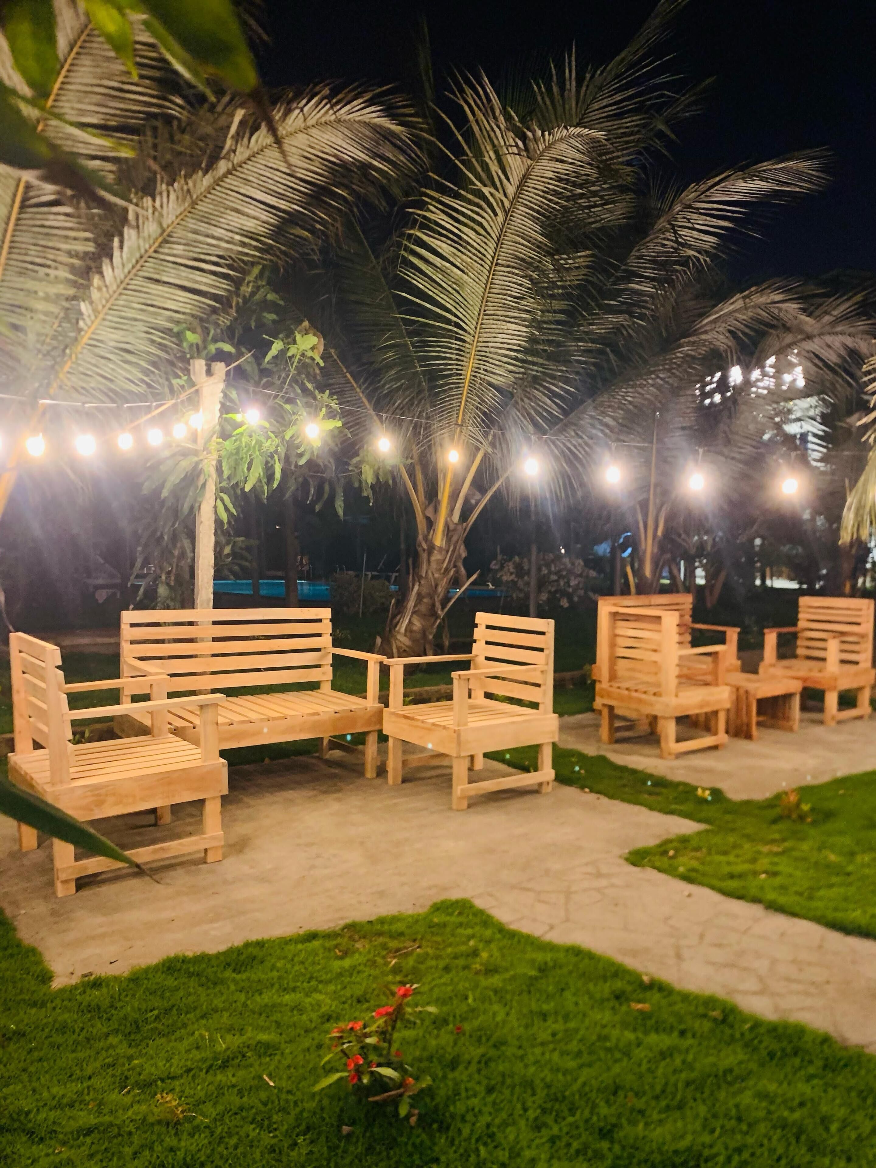 Un espacio al aire libre con bancos y sillas de madera, rodeado de palmeras e iluminado con luces colgantes.