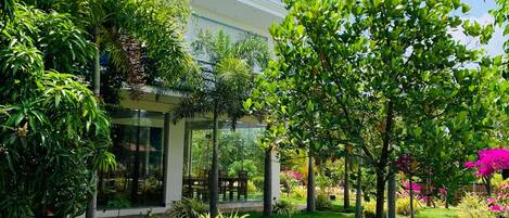 A lush garden with a paved walkway leading to a building with large windows and a visible sign.