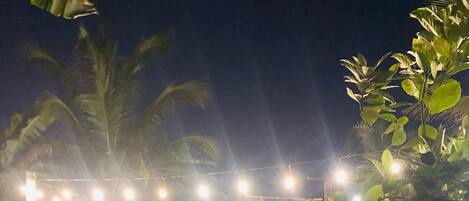 An outdoor seating area with wooden benches and tables, string lights, and greenery.