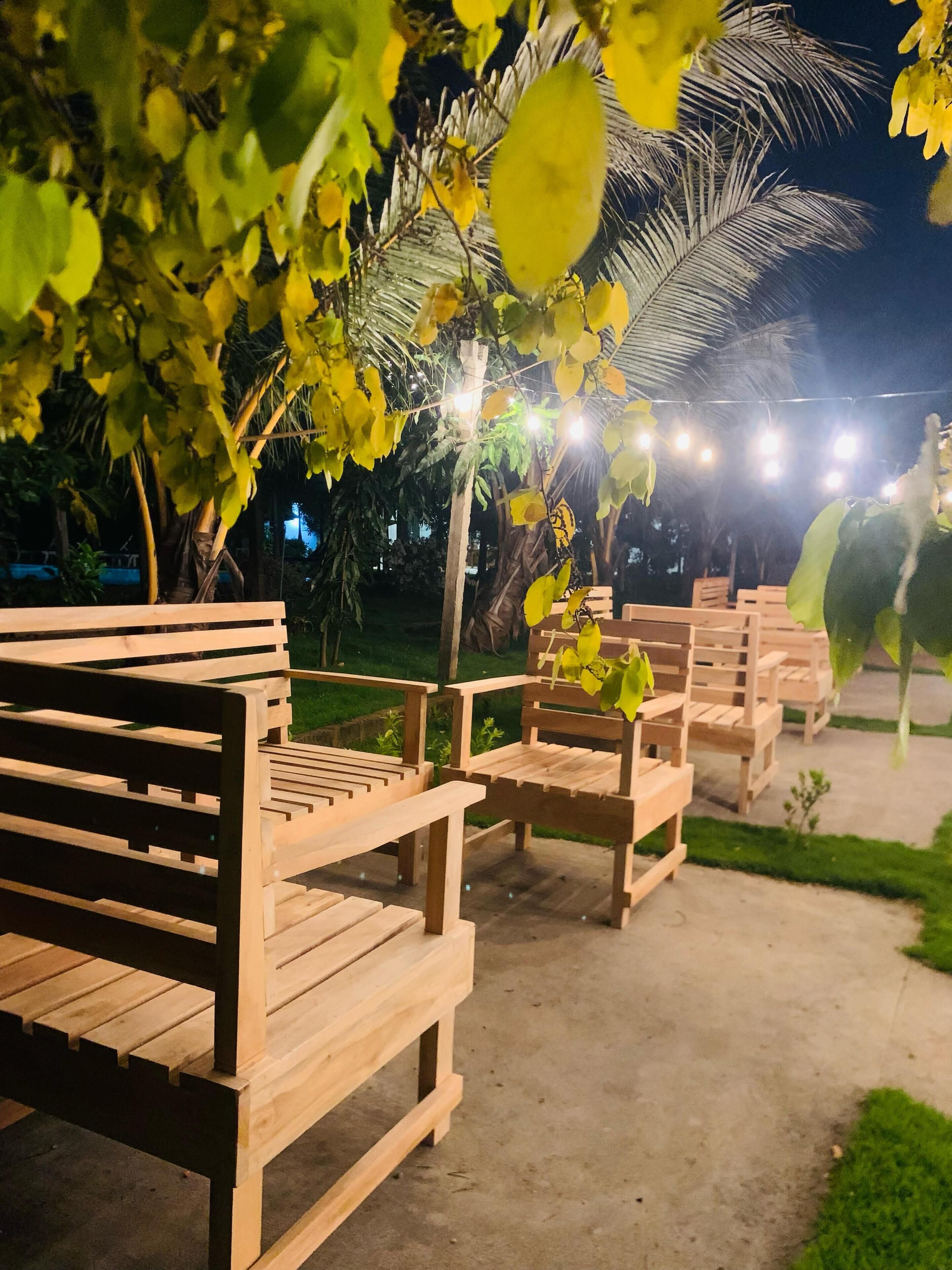 Outdoor wooden furniture arranged on a concrete surface, surrounded by greenery and palm trees, under string lights.
