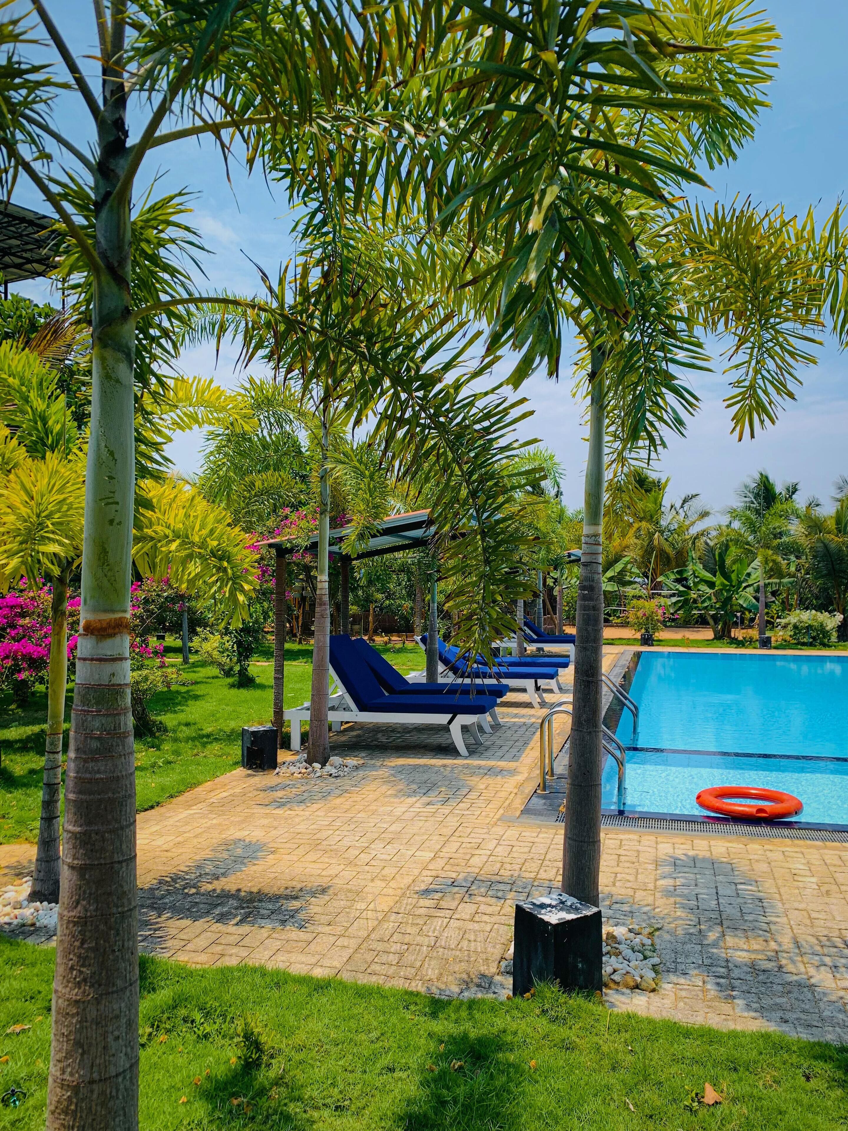 A poolside area with lounge chairs and a swimming pool.