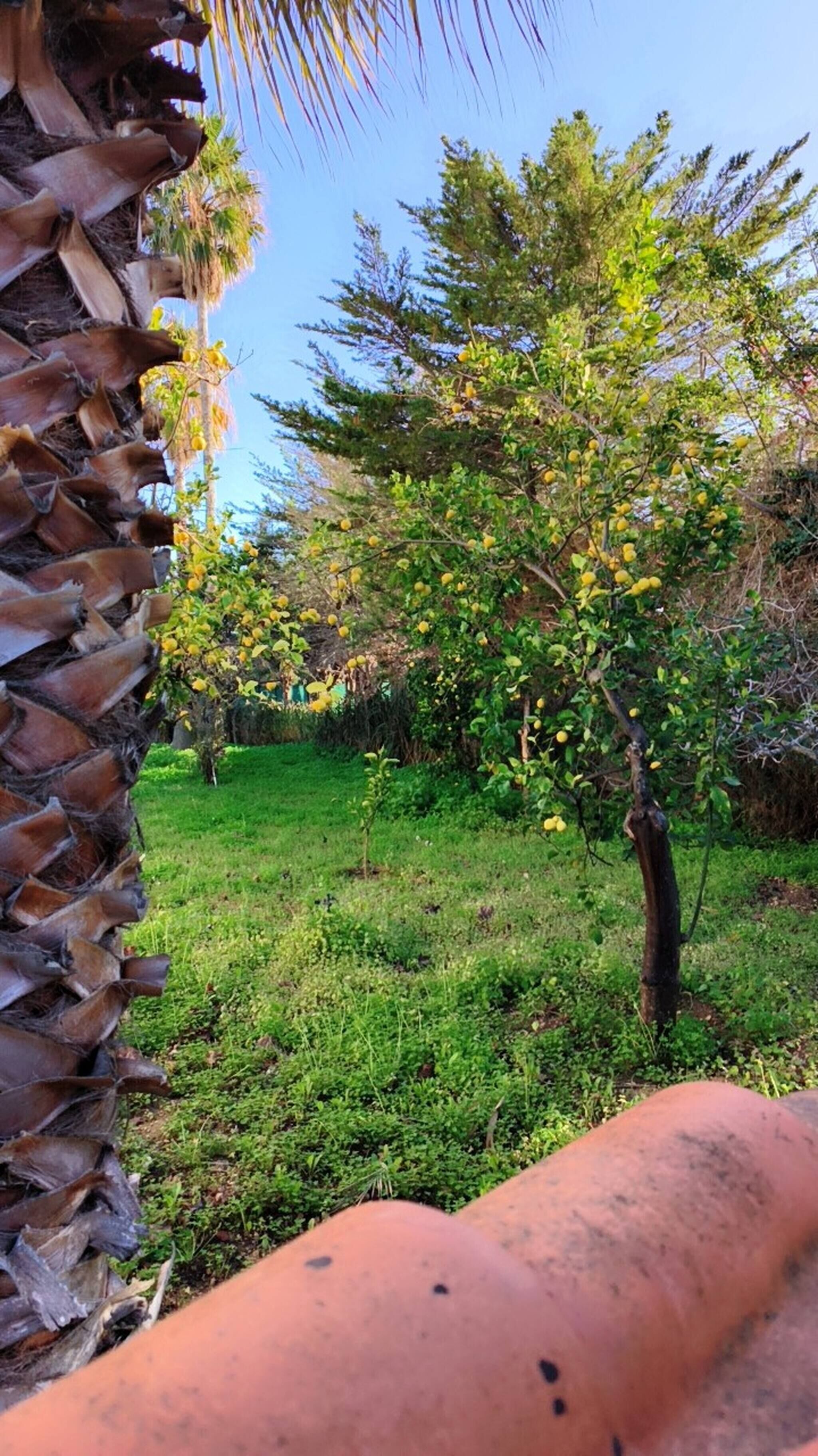 Villa, 2 Bedrooms, Smoking, Patio | Property grounds