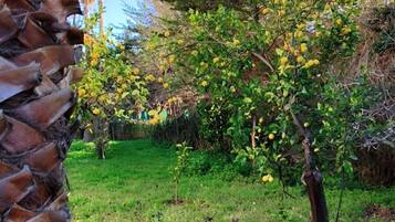 Villa, 2 Bedrooms, Smoking, Patio | Property grounds