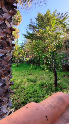 Villa, 2 slaapkamers, roken, terras | Terrein van de accommodatie