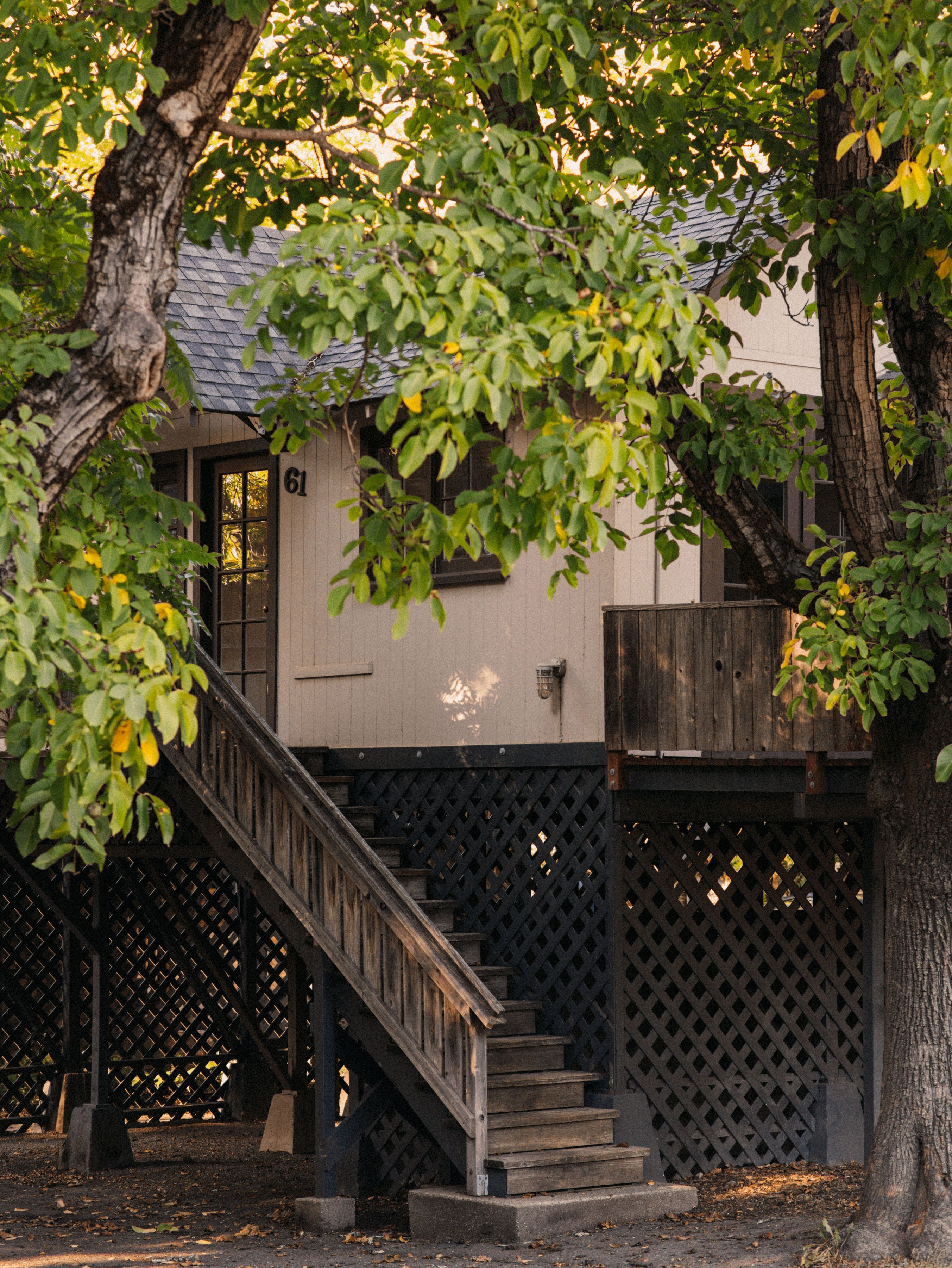 Un escalier en bois mène à un bâtiment portant le numéro 61, qui est entouré d’arbres.