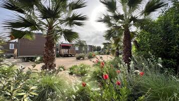 Terrein van de accommodatie