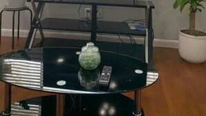 A living room with a flat-screen TV on a stand, a glass coffee table with a vase and remote, two potted plants, and a window with blinds. - Cozy, Convenient, Modern update (Gonzales)
