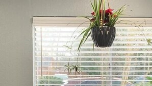 A dining area with a white table, two chairs, a potted plant, and a window with blinds. - Cozy, Convenient, Modern update (Gonzales)
