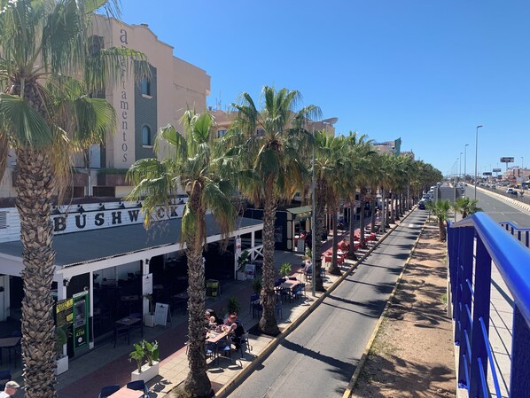 Calle bordeada de palmeras y mesas al aire libre en un restaurante llamado 'Bushwick'.