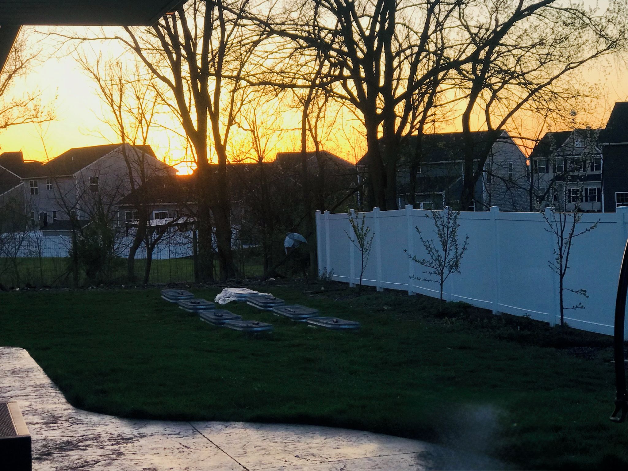 A backyard at sunset with a white fence, trees, and a lawn.