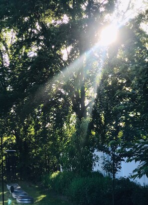 Un sentier qui traverse une zone boisée, la lumière du soleil filtrant à travers les arbres.