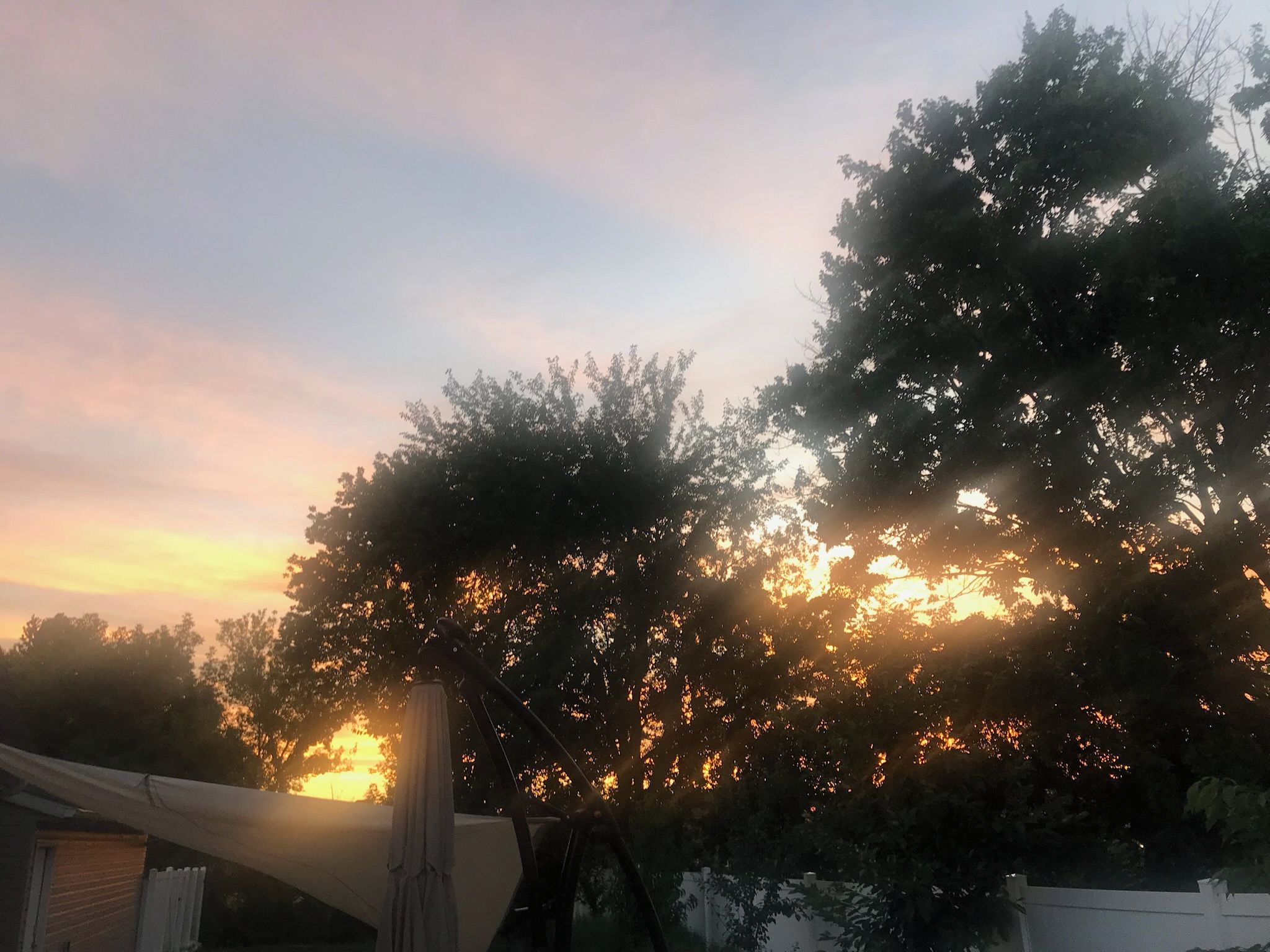 Solnedgang med træer silhouetteret mod himlen.
