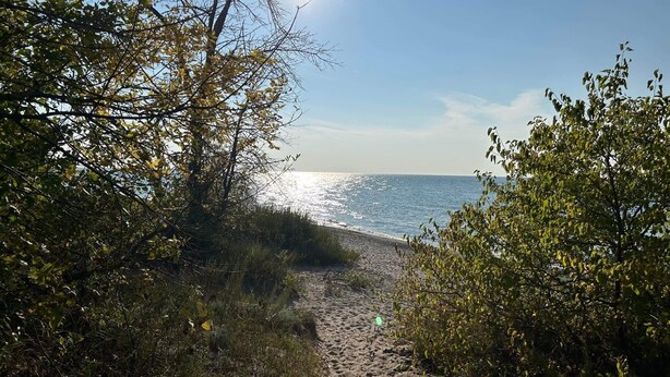 Un sentier de sable qui longe la plage et mène à la mer, bordé d’arbres et de végétation.