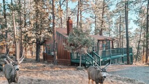 Un rustico chalet con una scala verde e un'area recintata con cervi.