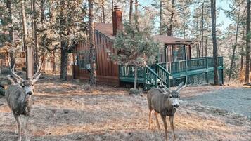 Área da propriedade