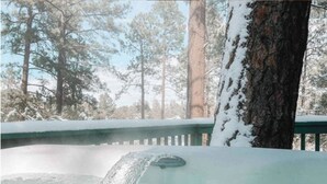 Una vasca idromassaggio all'aperto circondata da alberi coperti di neve.