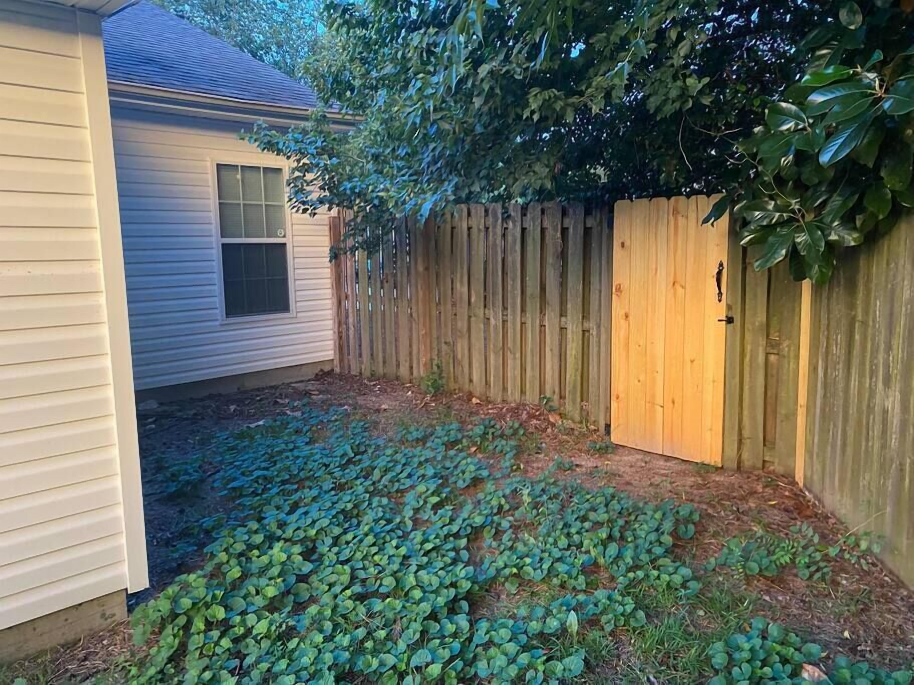 A backyard with a wooden fence, a house, and dense green foliage.