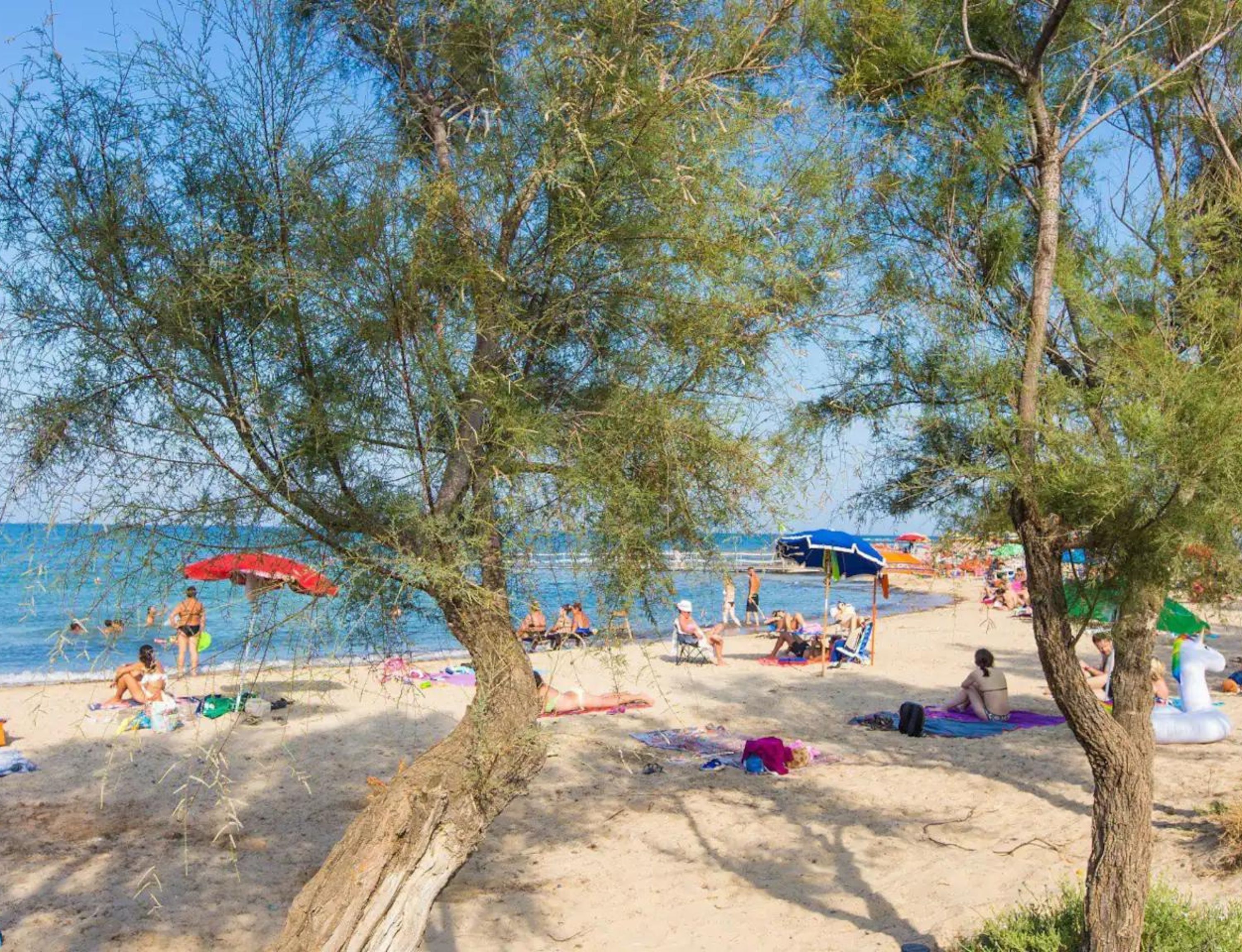 Una playa con gente tomando el sol y nadando, árboles y sombrillas.