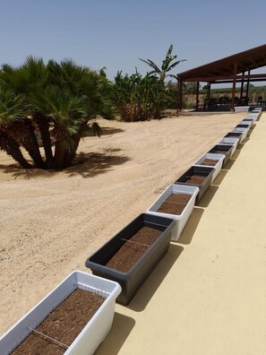 Exterior - Baglio Eldama (Castelvetrano)