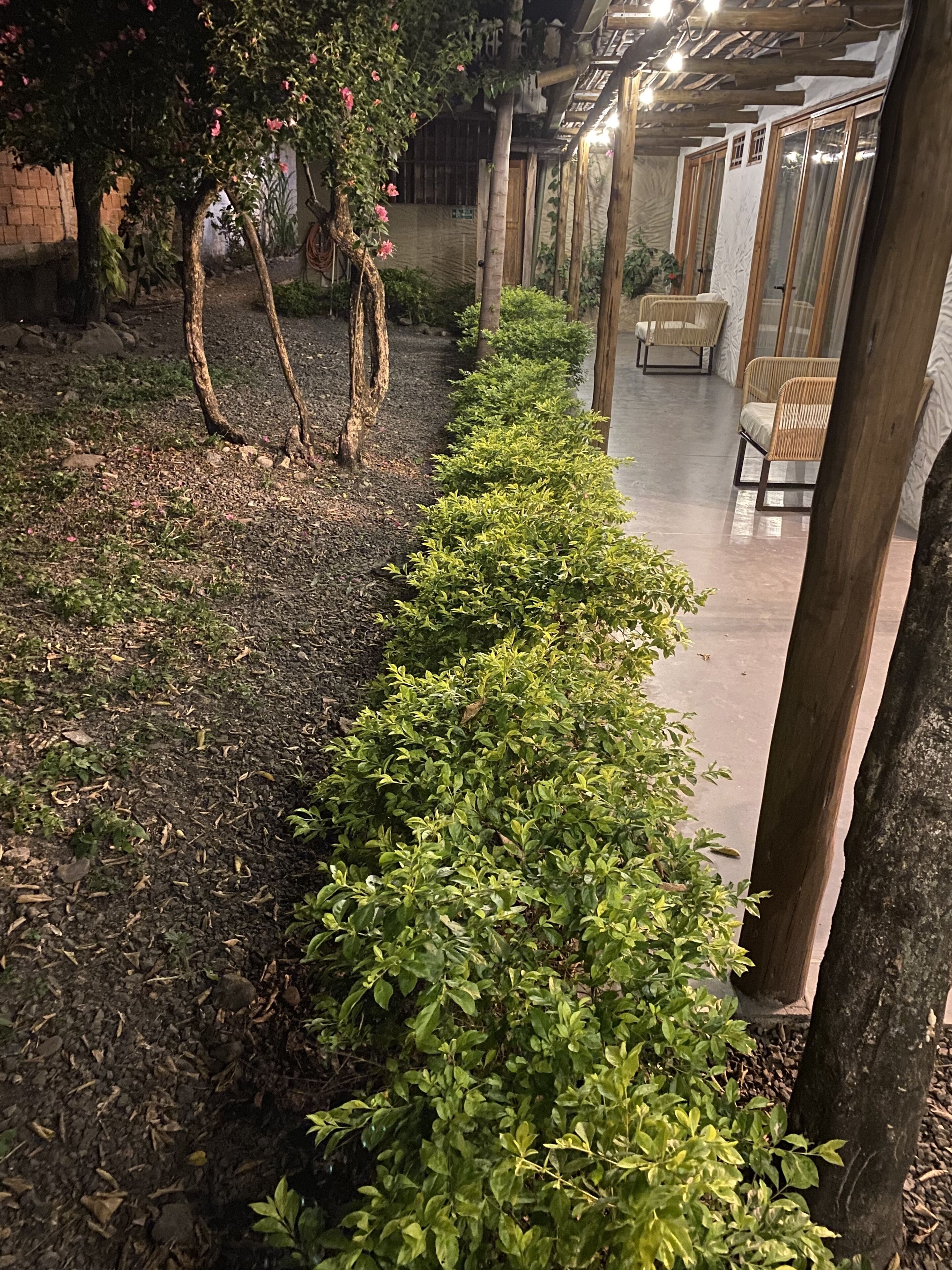 A garden pathway lined with neatly trimmed bushes, leading to a covered seating area with wicker furniture.