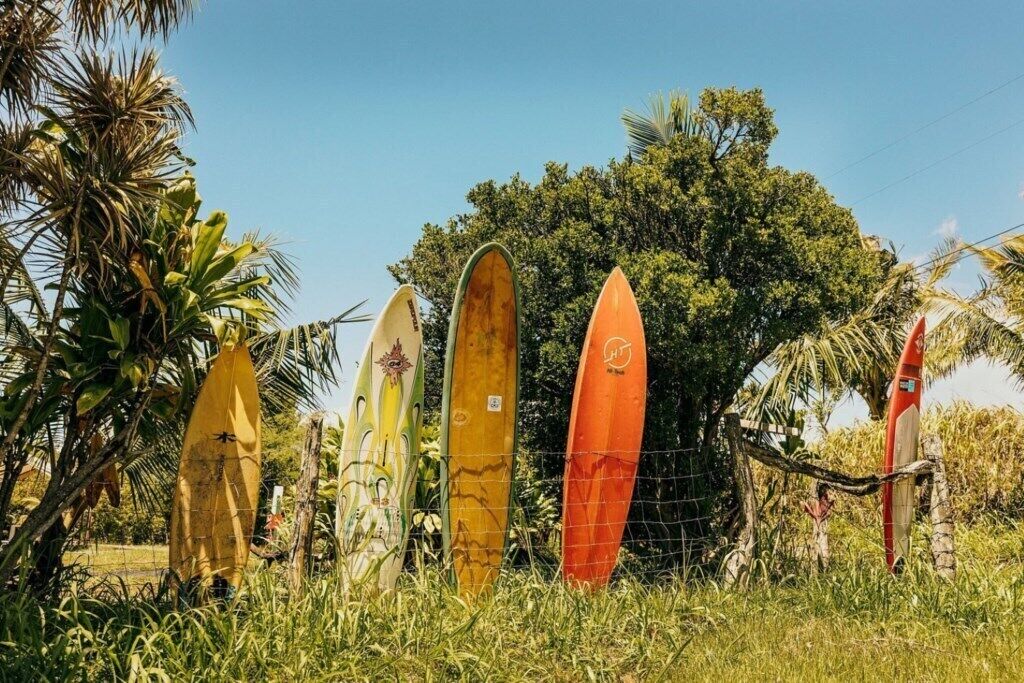 Surfboards lined up against a fence with trees in the background.