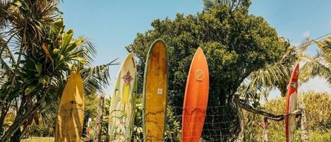 Surfboards lined up against a fence with trees in the background.