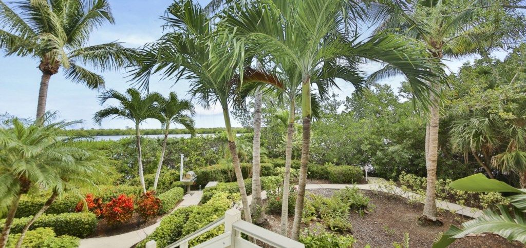 A landscaped garden with palm trees and various shrubs.