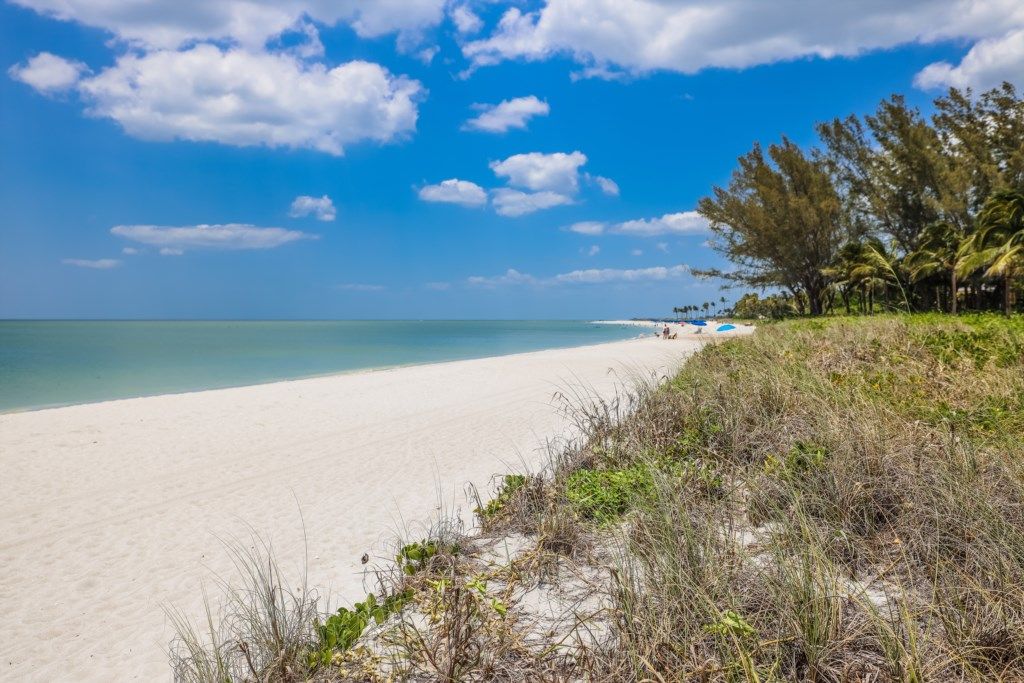 A beach with clear skies, a sandy shore, and sparse vegetation.
