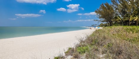 Une plage avec un ciel dégagé, un rivage sablonneux et une végétation clairsemée.