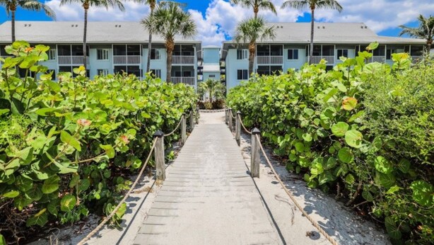 A pathway leading to a building with a light blue facade, surrounded by lush greenery and palm trees.