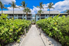 A pathway leading to a building with a light blue facade, surrounded by lush greenery and palm trees.