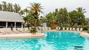 A swimming pool with lounge chairs and palm trees.