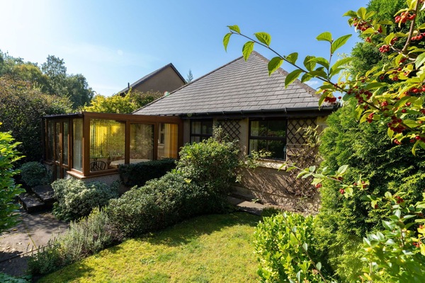 Plante, Ciel, Propriété, Communauté Des Plantes, Lot Terre, Paysage Naturel, Fenêtre, Arbre, Herbe, Maison