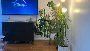 A living room with a flat-screen TV displaying the Disney+ logo, a dark wooden cabinet, a large potted plant, and a small table with a basket.