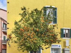 Exterior detail - Lovely apartment for 3 guests with A/C, WIFI, TV and pets allowed (Rio Marina)