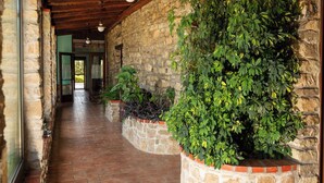 A stone-walled corridor with wooden beams, potted plants, and a view into a room with a door. - Beautiful private villa with WIFI, private pool, TV, terrace, pets allowed and panoramic view (Trivigno)
