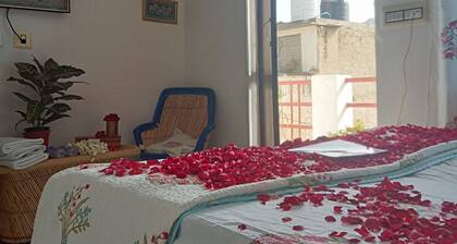 cocoon auberge