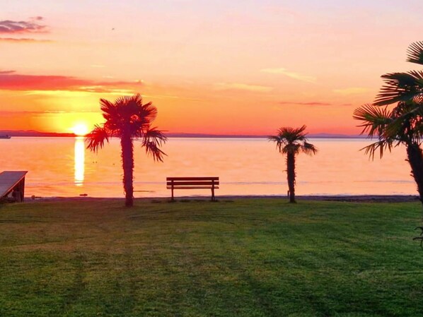 A sunset view with palm trees and a bench by the water.