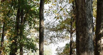 A secluded haven on 5,000 acres in NW Georgia, just 45 minutes from Atlanta and Chattanooga, and a quick 10-minute drive to downtown Rome. Explore private trails along the Etowah river, bask in wildlife, and gaze at mesmerizing stars. Your perfect es