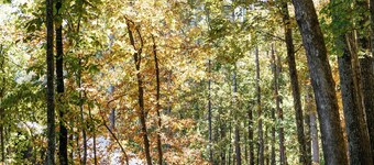 A secluded haven on 5,000 acres in NW Georgia, just 45 minutes from Atlanta and Chattanooga, and a quick 10-minute drive to downtown Rome. Explore private trails along the Etowah river, bask in wildlife, and gaze at mesmerizing stars. Your perfect es