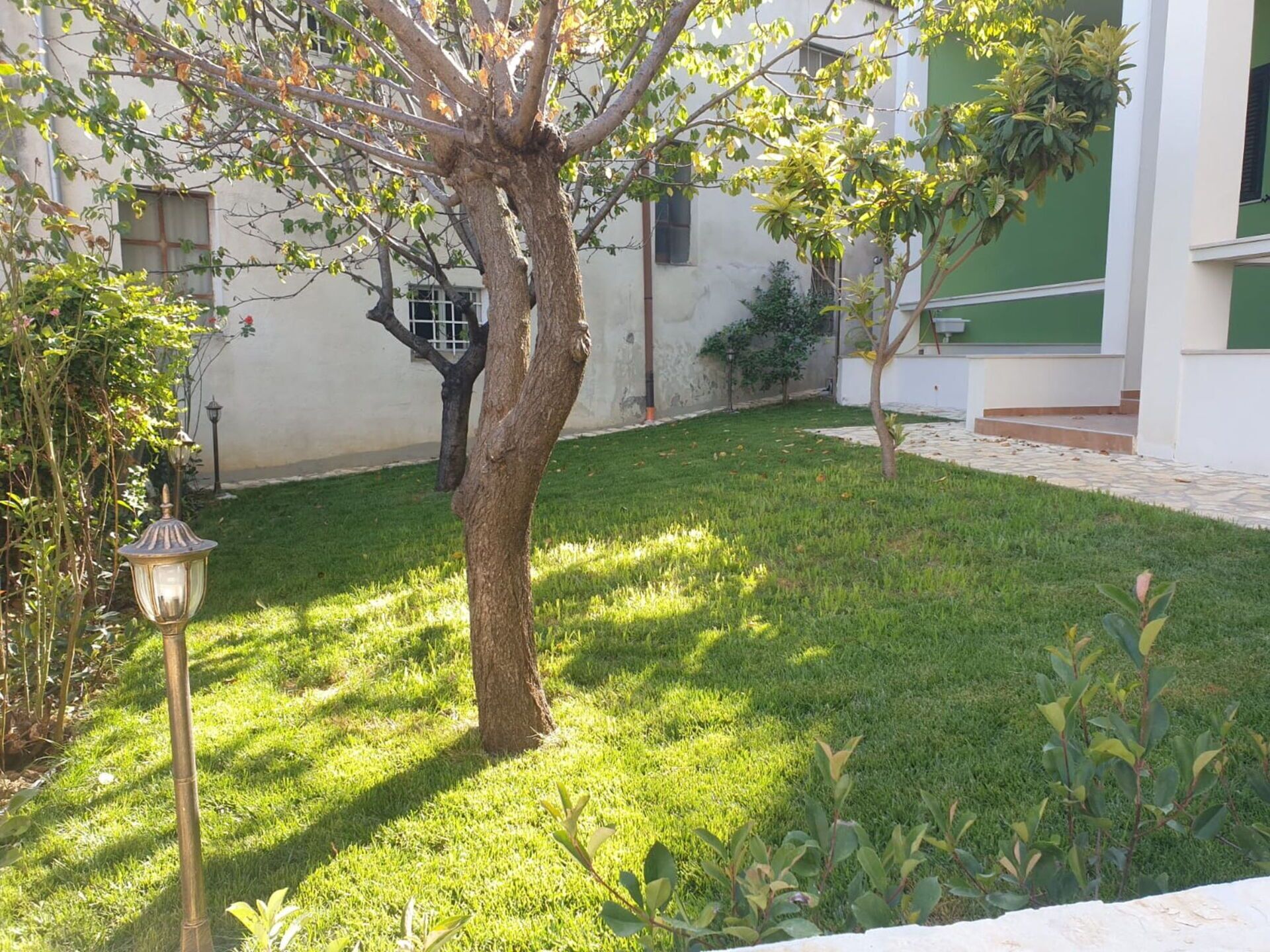 Un patio con césped cuidado, un árbol y un poste de luz.